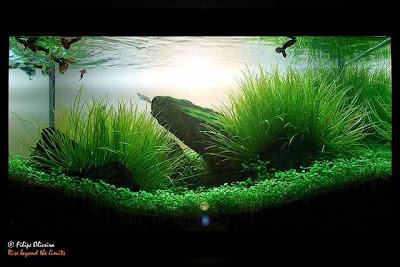 Картинка с форума