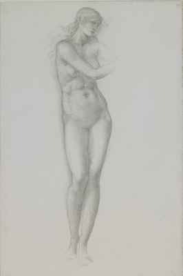 Drawing Of Venus