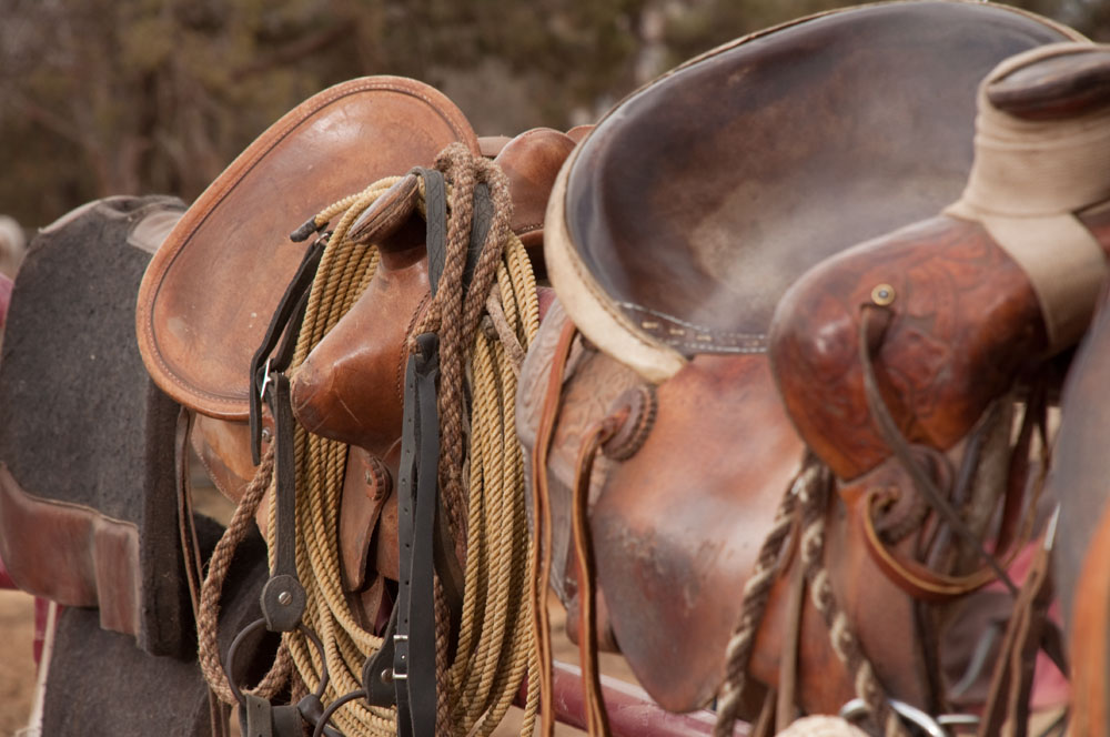 Russell B. Hunston Central Oregon Professional Horse Trainer 541