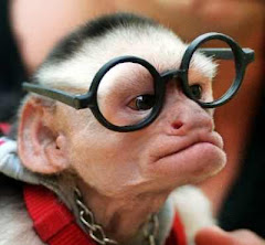 Awkward Monkey
