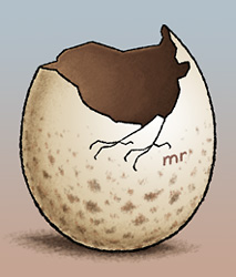 [wrensegg.jpg]
