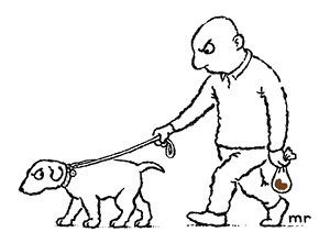 [poop.jpg]