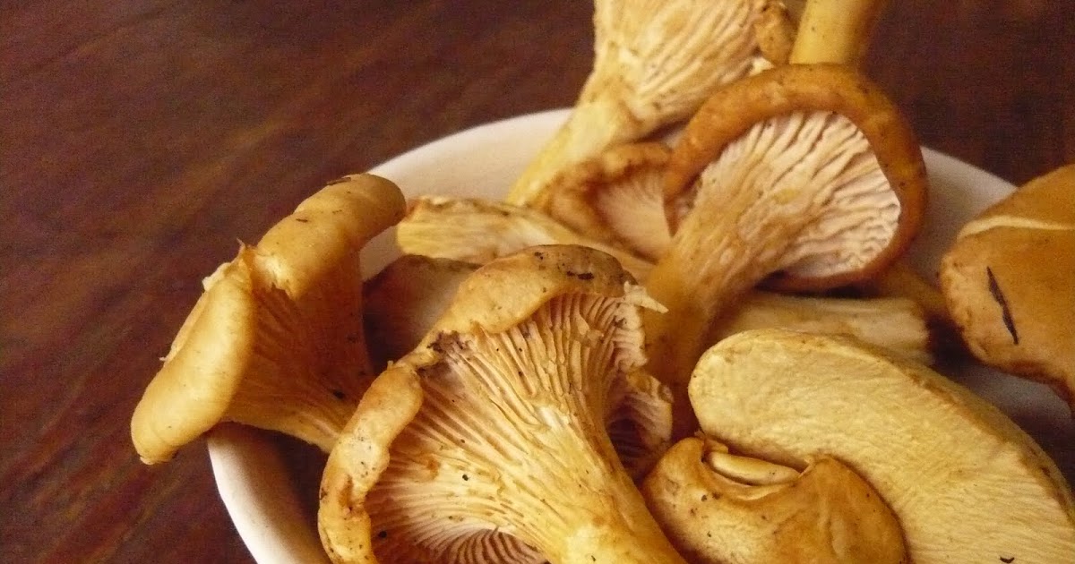 Yummy Supper Chanterelles Roasted with Thyme and Rosé