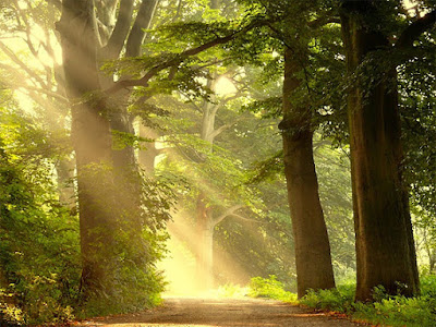 Paisajes increibles con Lars van Goor 25