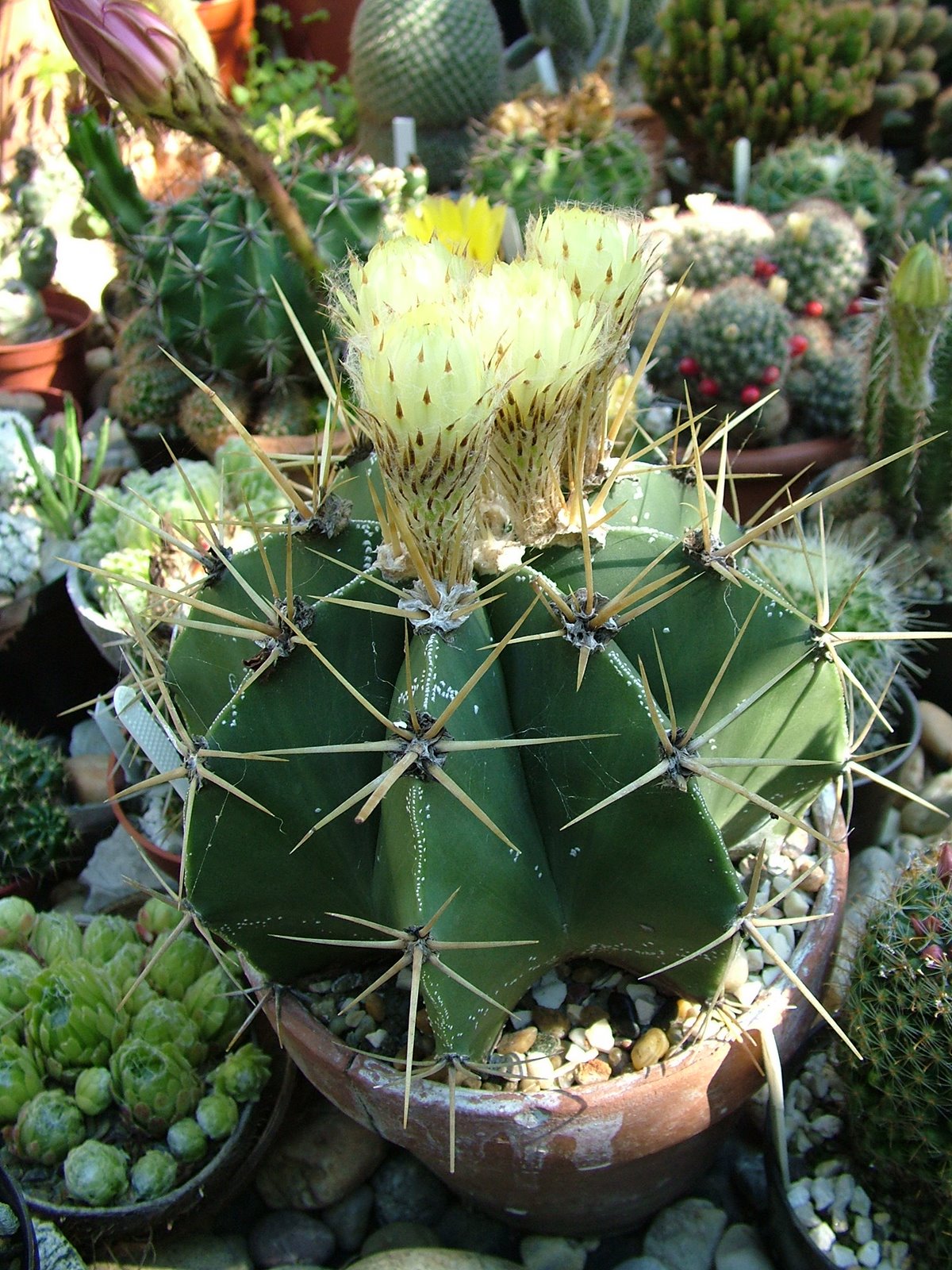 [DSCF0096.JPG]