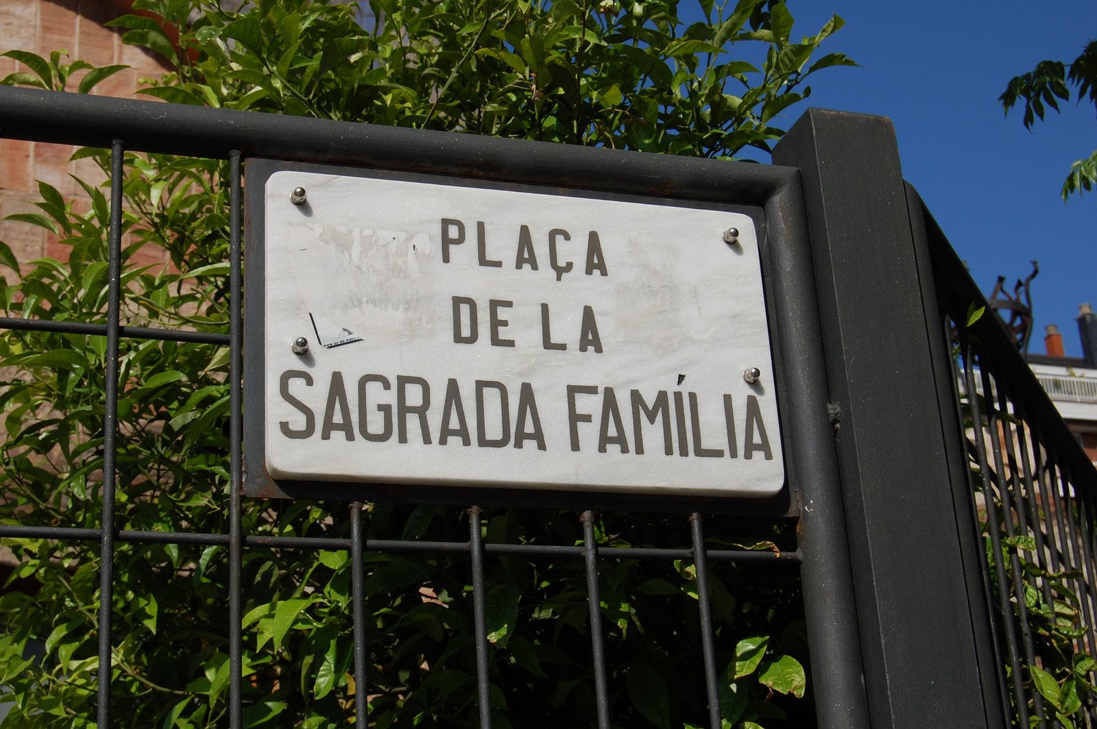 [DSC_0137.JPG]