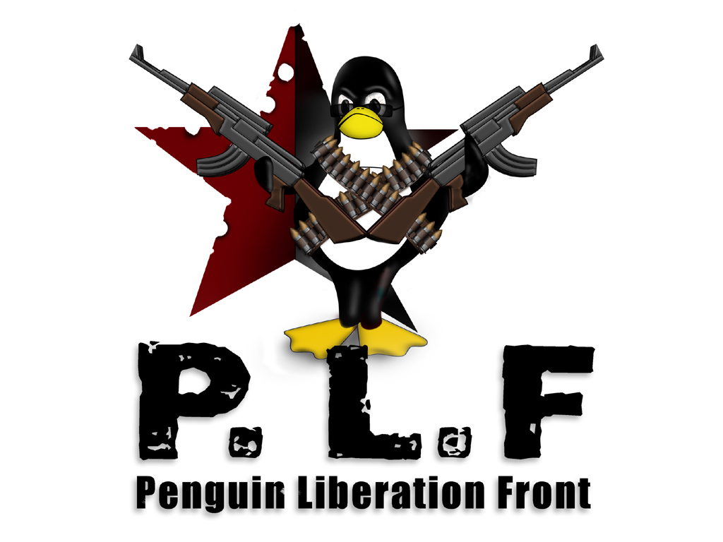 [linux+7.JPG]