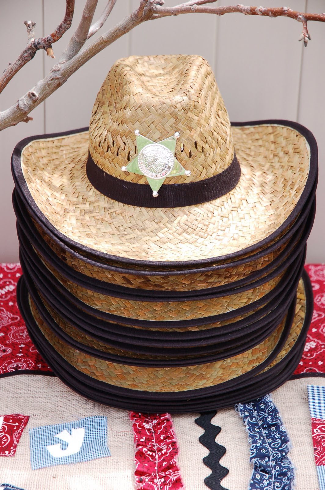 restlessrisa Cowboy Birthday Party Preparation {Part 4 The Table}