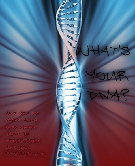 What's Your DNA?