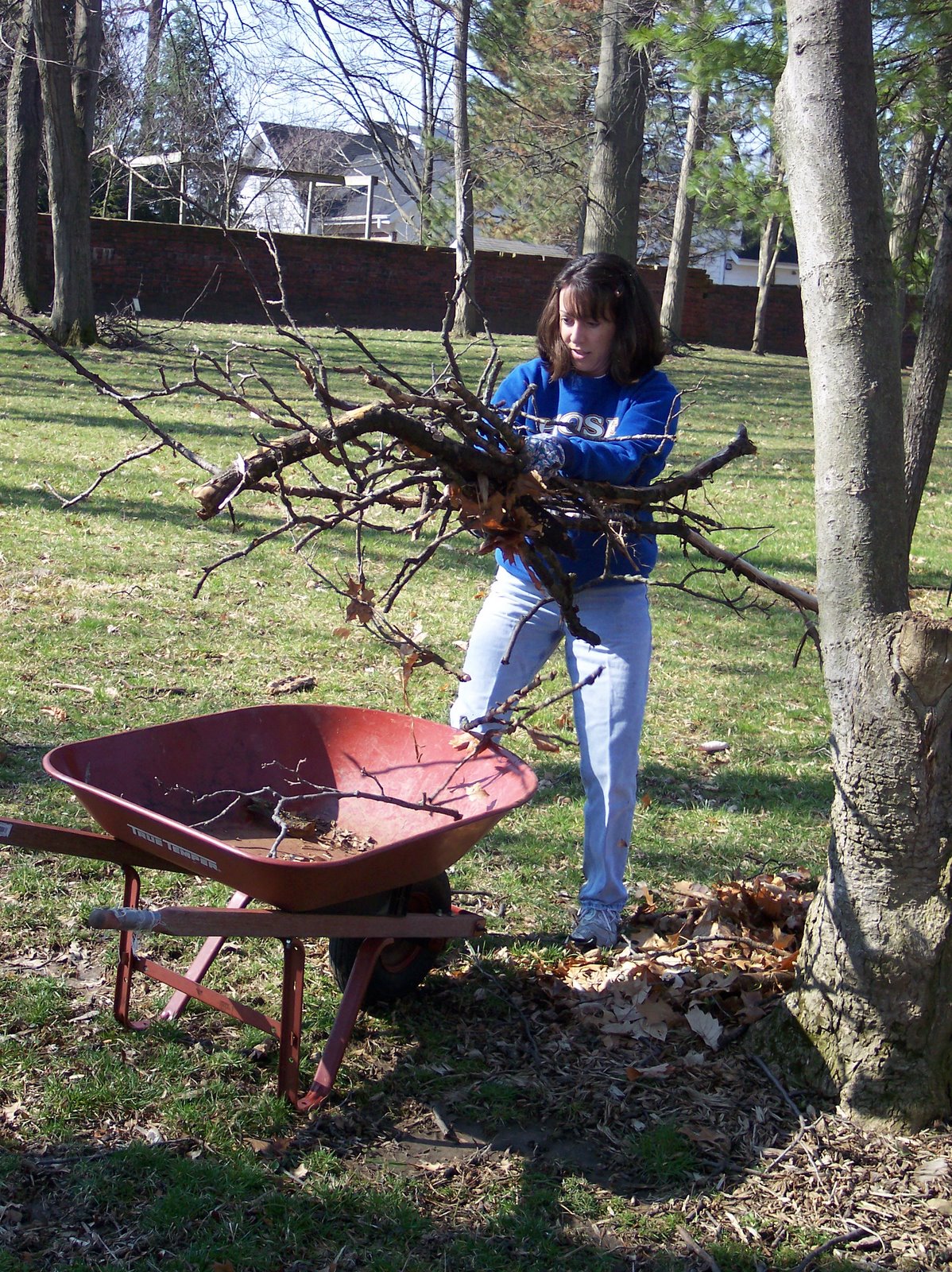 [parkday+023.jpg]