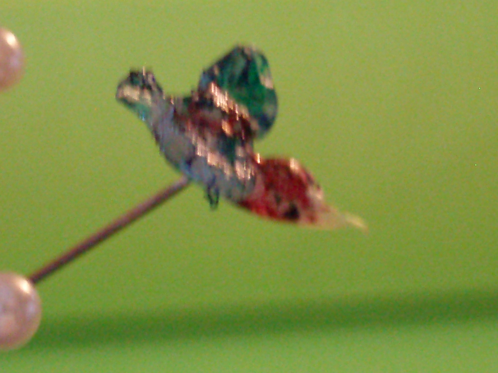 [P5240892.JPG]