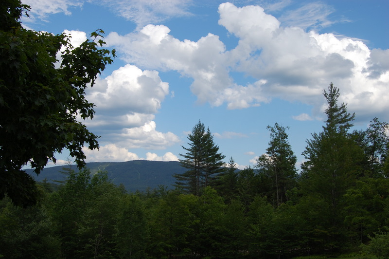[DSC_0091.JPG]