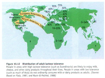 http://1.bp.blogspot.com/_dRj9DN75euI/RexOSfGhRMI/AAAAAAAAAGI/WD8x2nZVJKQ/s400/lactose+tolerance.JPG
