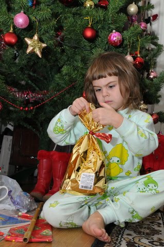 [DSC_5573_resize.JPG]