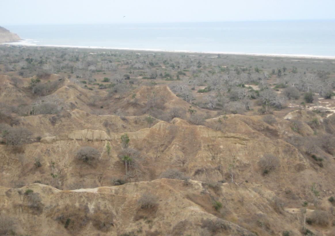 [miradouro+lua+2.JPG]