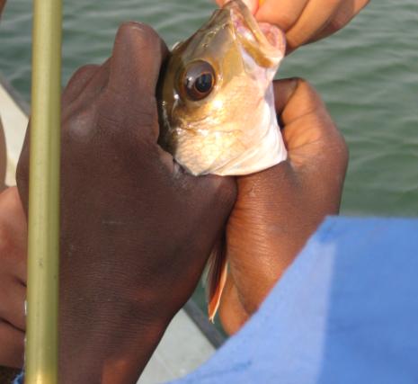 [pesca+5.JPG]
