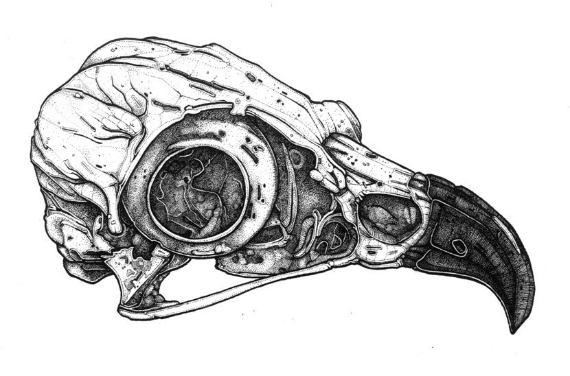 Skeleton Hug detail