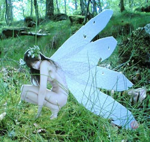 [fairy.jpg]