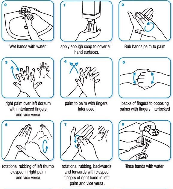 Hygiene Corner News,Tips and tools for better hygiene Steps in