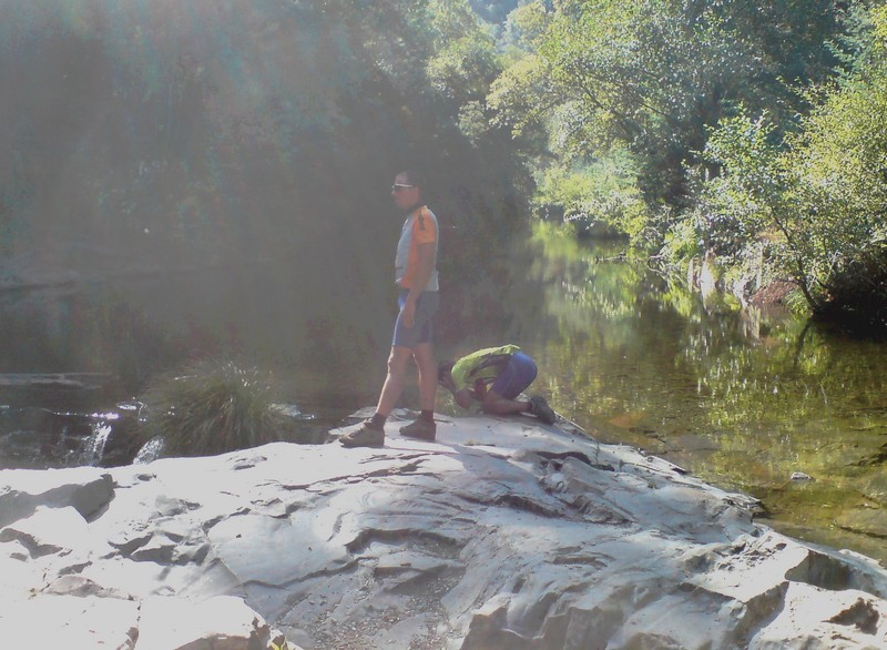 [DSC00087.JPG]