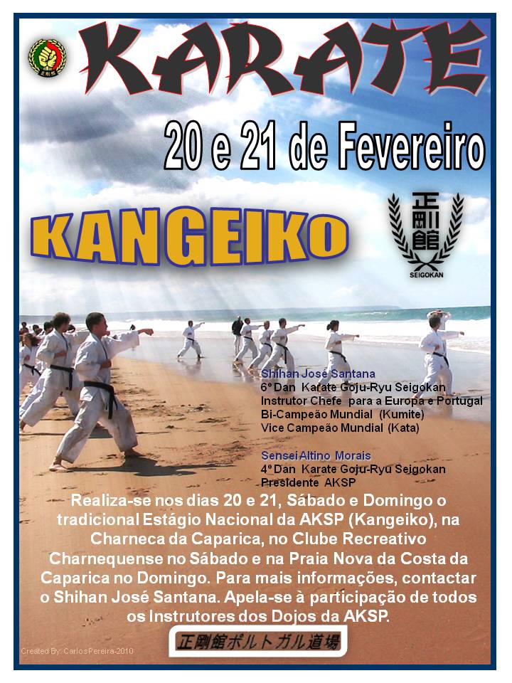 [kangeiko+2010.jpg]