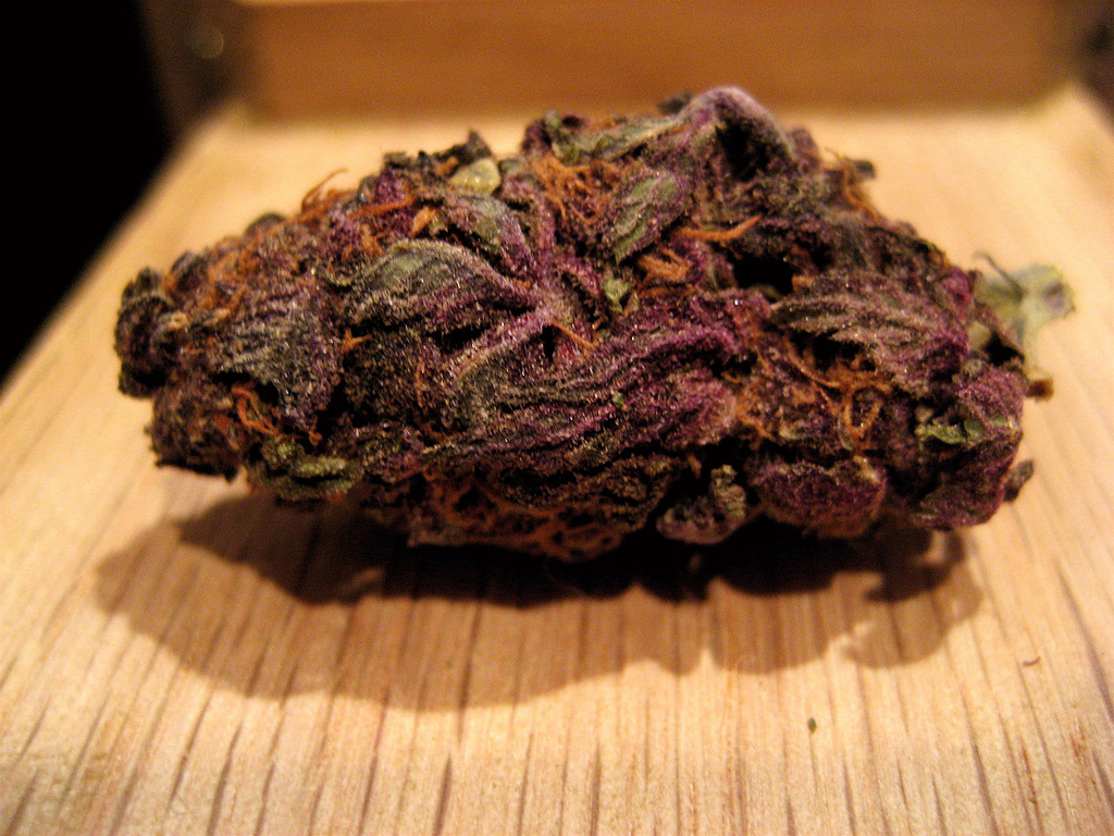 Cali Chronic