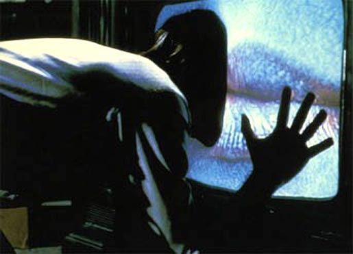 [videodrome1.jpg]