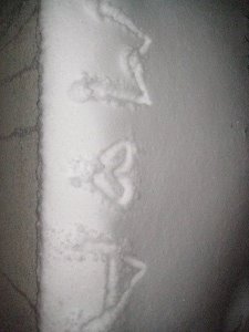 [IMG_6143.JPG]