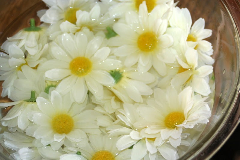 Party Wishes Dying Silk Flowers