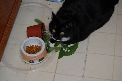 Tux started bogarting it.
