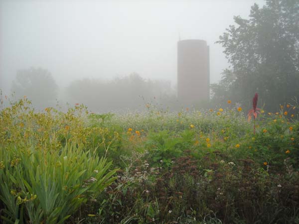 [fog+1+0808.jpg]