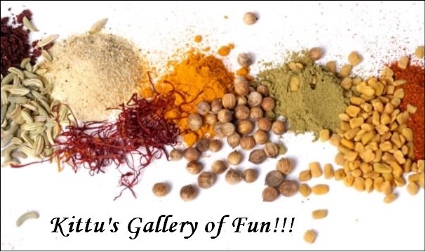 Kittu's Gallery of Fun!!!