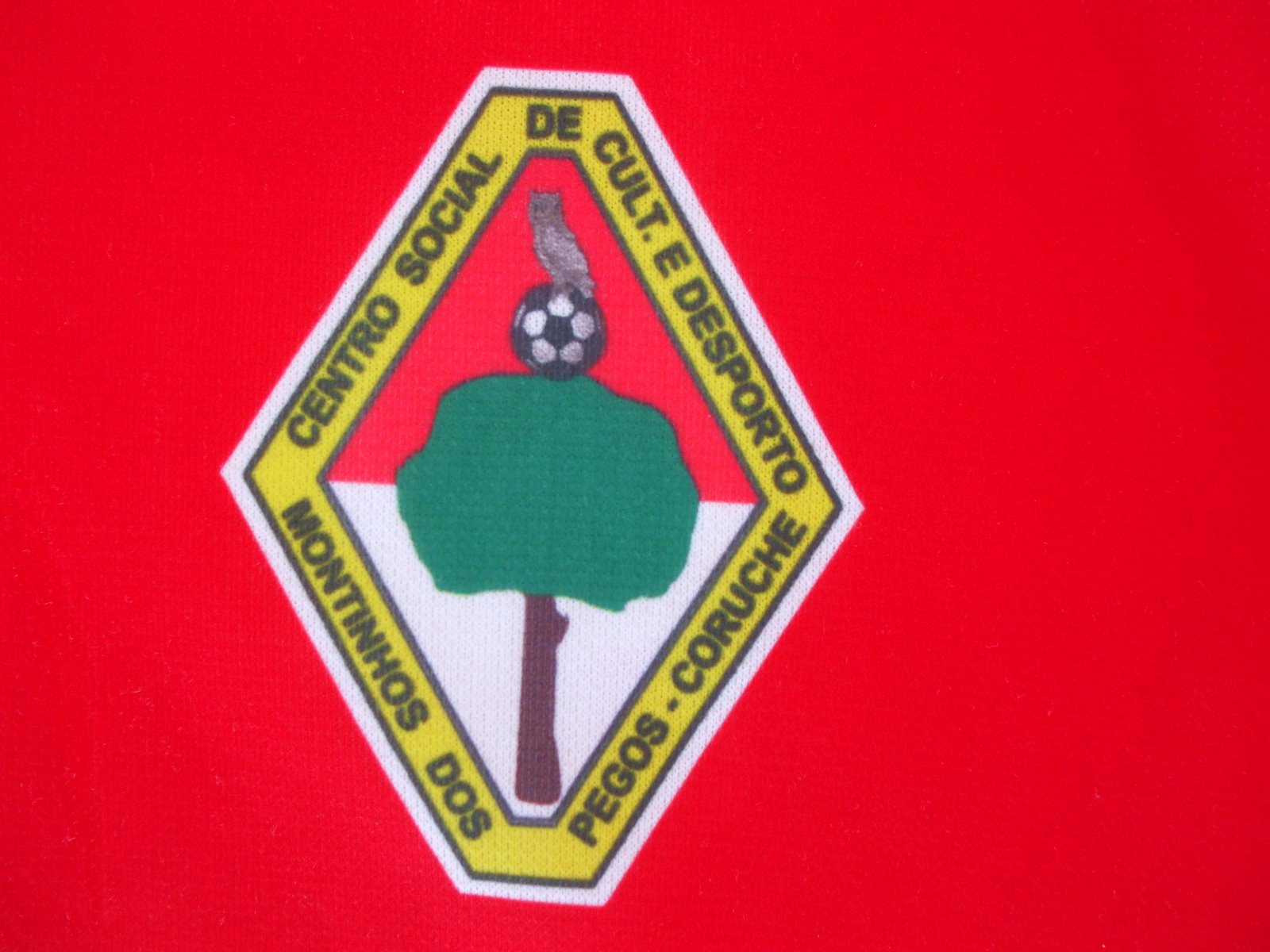 [CORPOS+SOCIAIS.JPG]