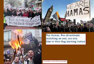 Hamas divestment