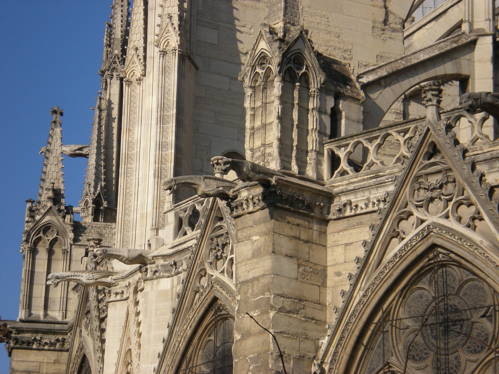 [P2010105.JPG]