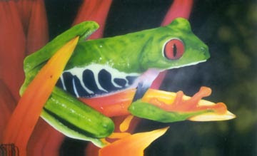 Make Frog Airbrush Designs