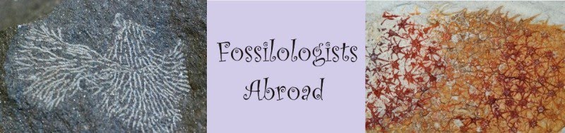 Fossilologists Abroad