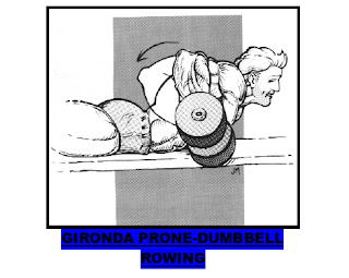 The Fastest Body Building Secrets Gironda Prone Dumbbell Rowing
