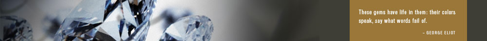 [banner-generic.jpg]