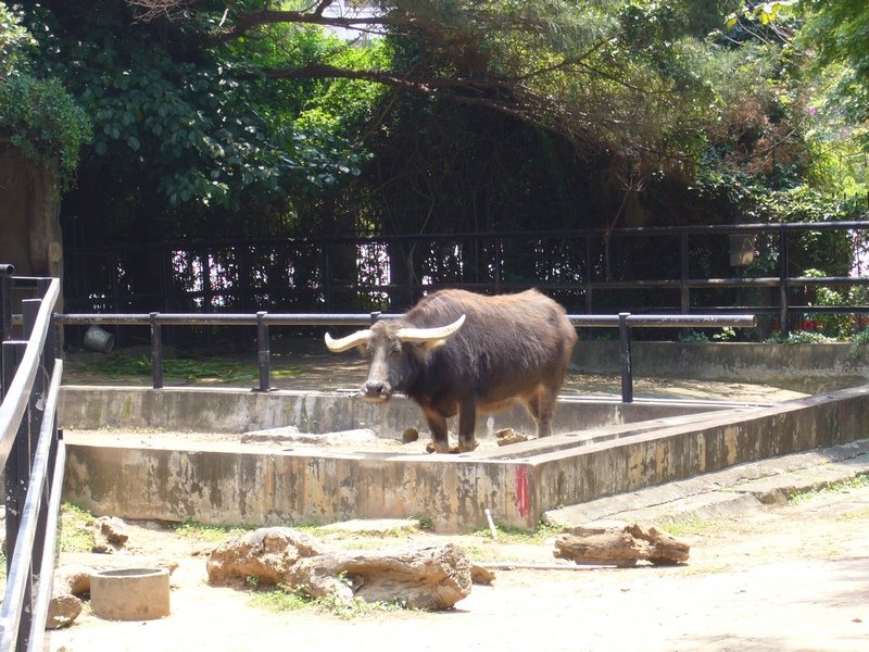 [P1000774.JPG]