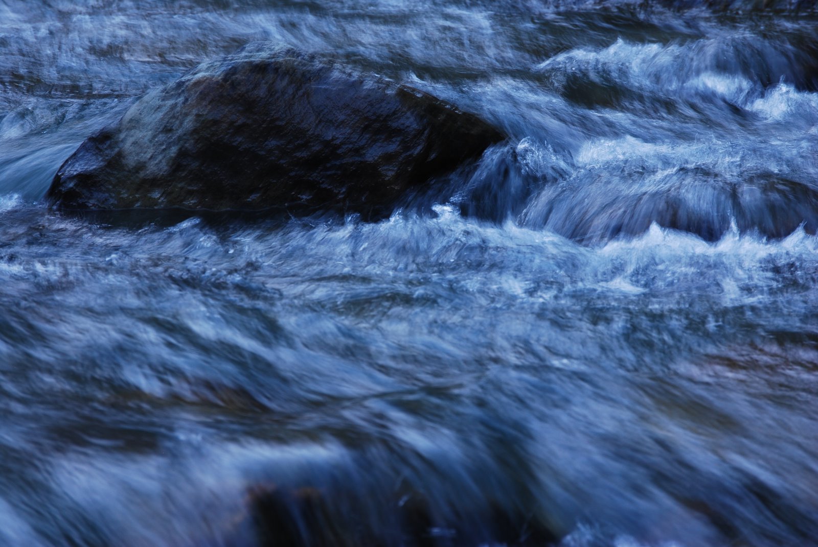 [DSC_0317.JPG]