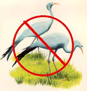 [crane]