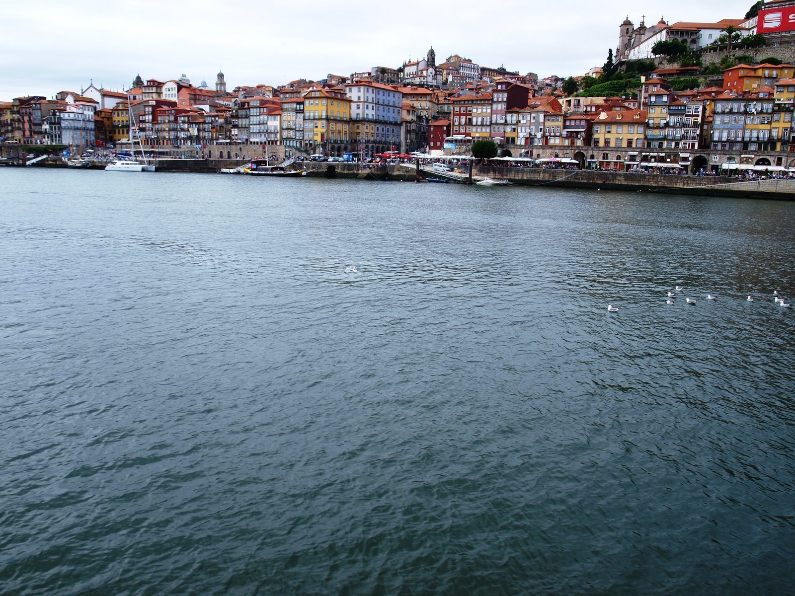 [P1013873.JPG]