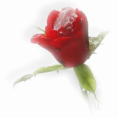 happy birthday greetings sexy birthday graphics animation myspace orkut happy birthday greetings sexy birthday graphics animation myspace orkut