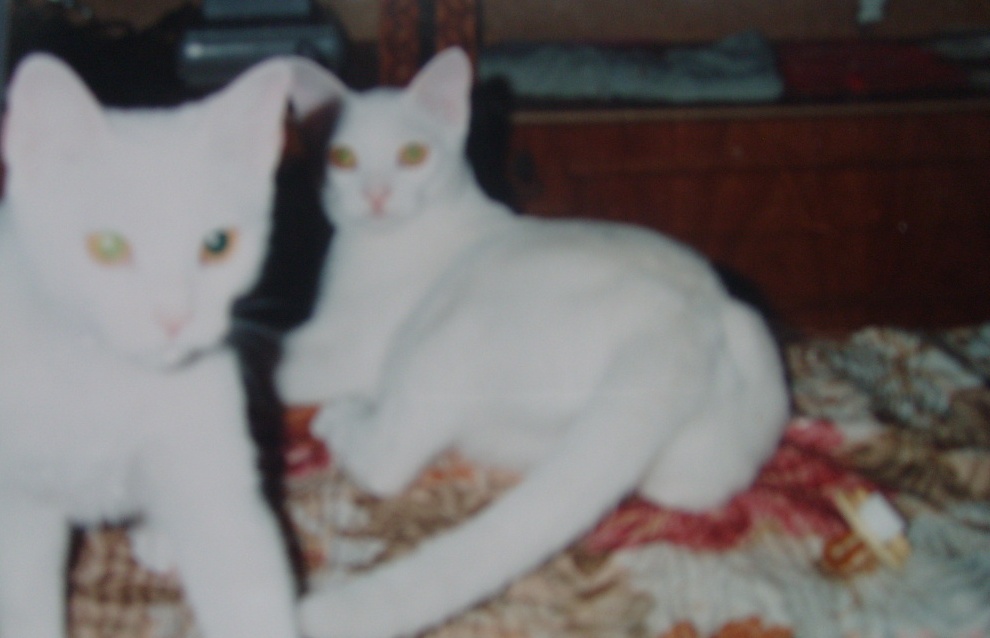[S7300813.JPG]