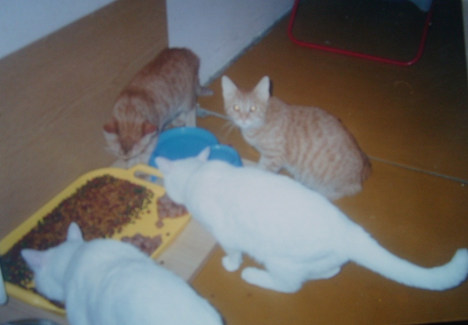 [S7300828.JPG]