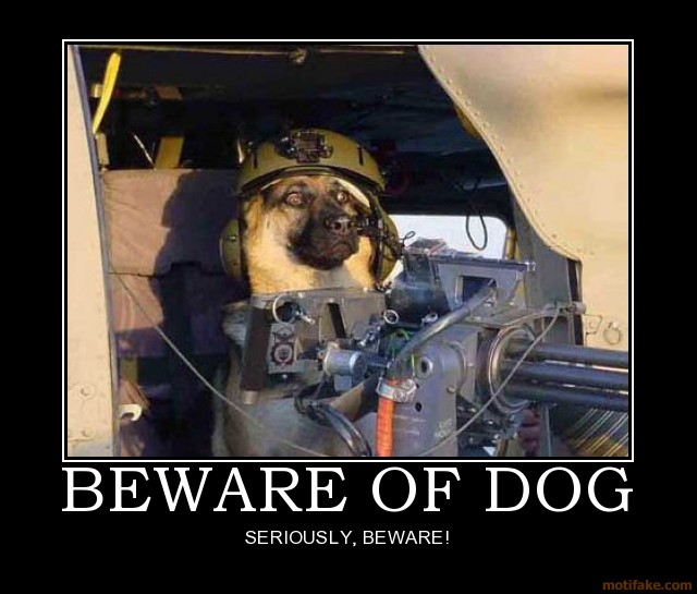 beware-of-dog-demotivational-poster-1254500798.jpg