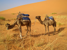 Merzouga Cameltrekking