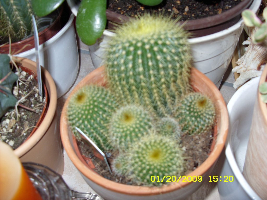 [Jan.18-20,2009003_edited.JPG]