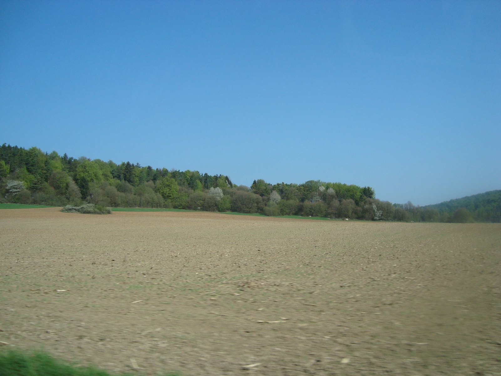 [DSC02854.JPG]